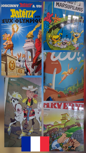 Departamento de Francés